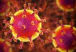 cómo fortalecer su aparato inmunológico contra el COVID-19