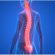Binipatia a favor de la Atrofia Muscular Espinal
